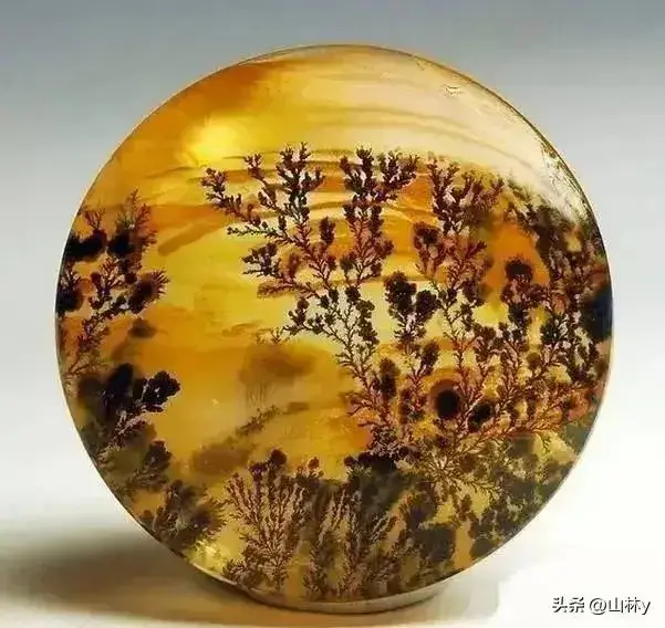 黑色zs幻化哪里-探索黑色 zs 幻化的神秘世界：恐惧与着迷交织的内心之旅