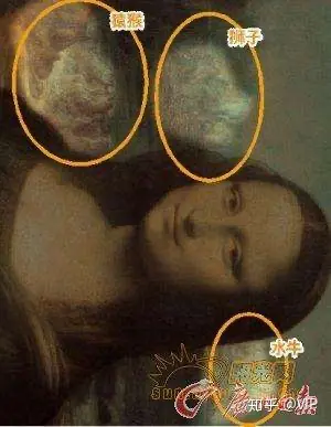 世界上哪些人左右脑都发达_左右脑都发达的人_左右脑发达是天生的吗