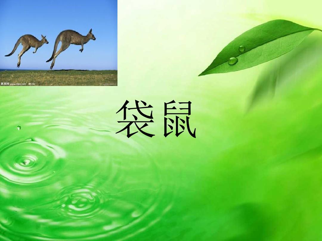 你比划我猜的成语大全：让大脑飞速运转，笑点不断被戳中