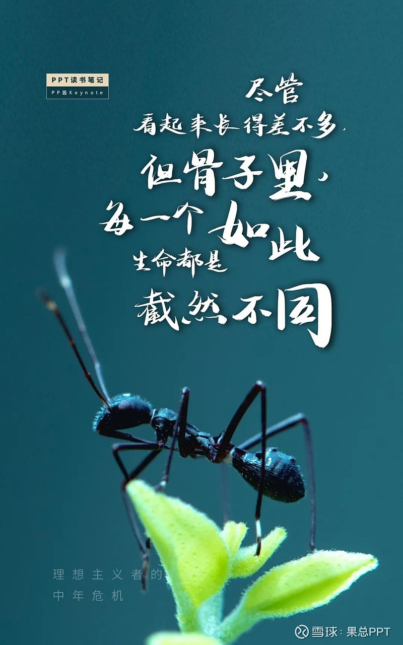 喜欢折腾 演讲_喜欢折腾 演讲_喜欢折腾 演讲