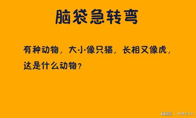 趣味智力题图片大全_趣味图片智力题_趣味智力题图片怎么做