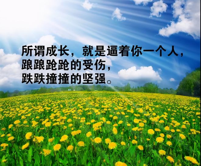 帮花大作战英雄救美-普通高中生卷入帮花大作战，用勇气守护神秘花朵和校花小美