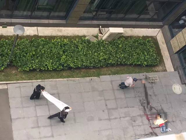 真相之战_战争真相德军攻略_战争的真相盟军攻略