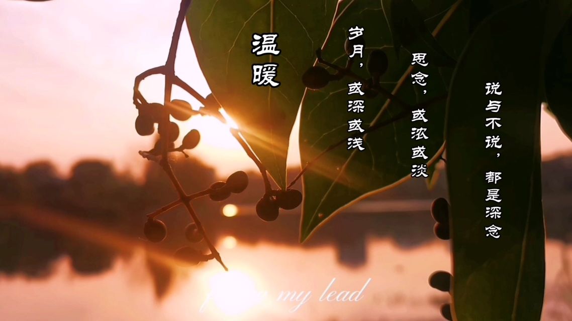 白色的贺年片-白色贺年片：冬日里的温暖问候，承载着特别情感与美好回忆