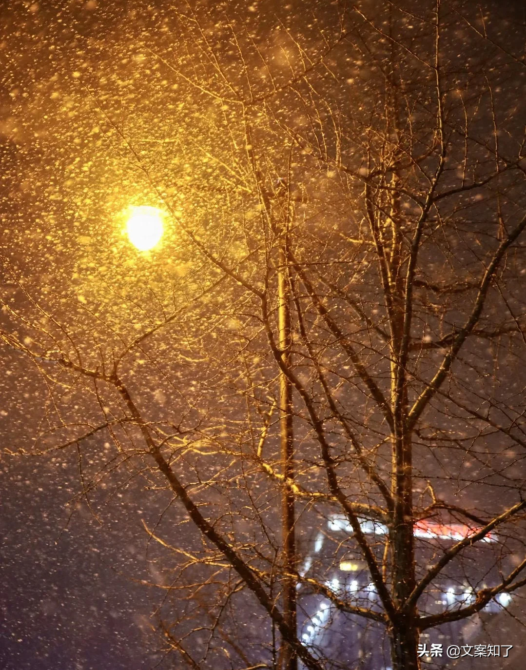 白色的贺年卡片像_白色的贺年片图片_白色的贺年片