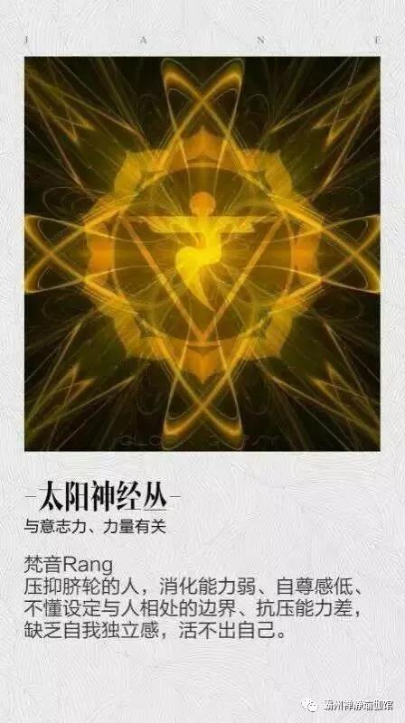 我不知道在天赋有种是智慧500和体力50优点缺点-智慧 500 与体力 50：老天爷的赐予，是福还是祸？