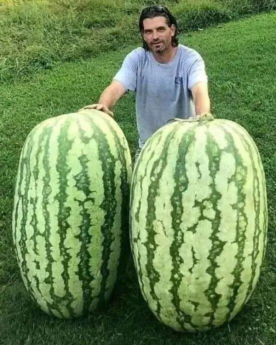 刷新认知！水平传送带问题视频，带你领略物理的精彩