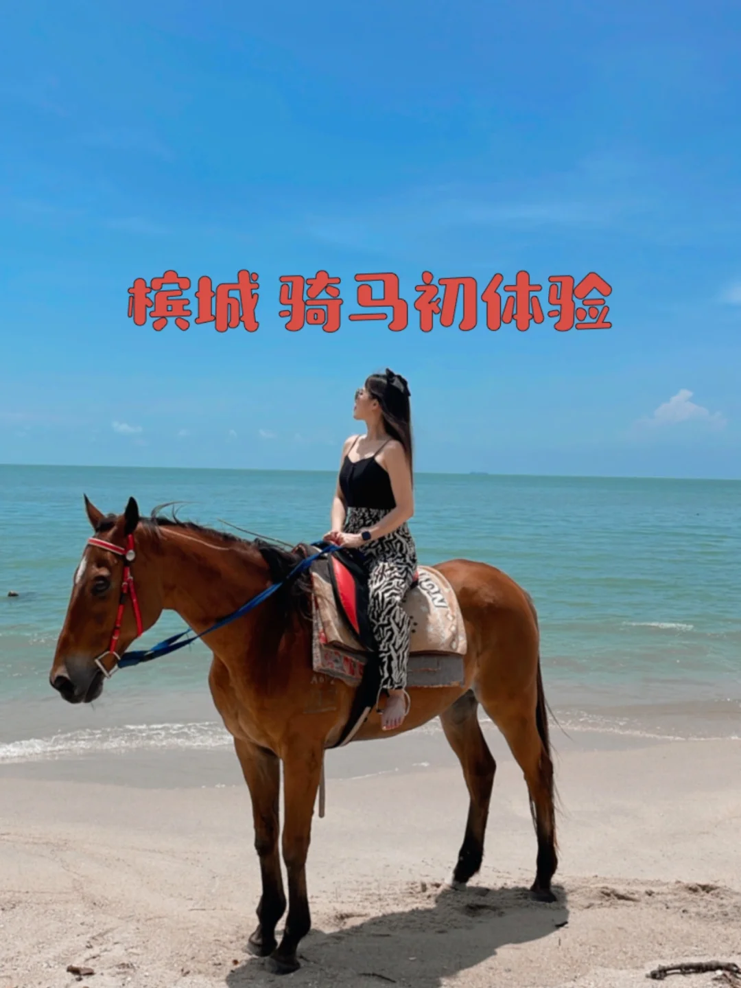 快来感受马儿快跑配对的激情与速度，体验心跳共鸣的时刻