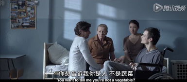 看片儿