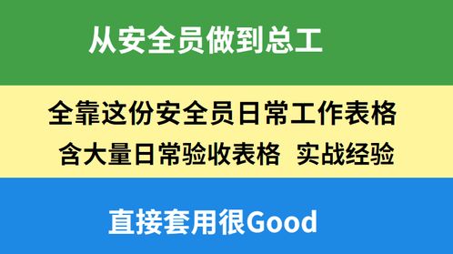 机场安全员模拟器 