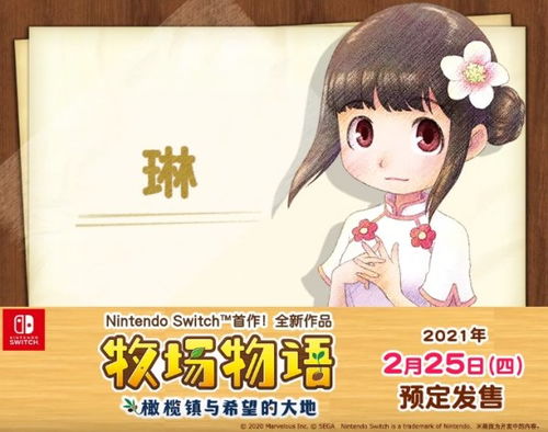 小琳游戏,探索奇幻冒险之旅