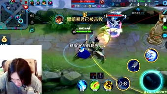 木子游戏控,策略制胜全解析