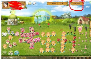 玫瑰小镇游戏下载,体验种花乐趣