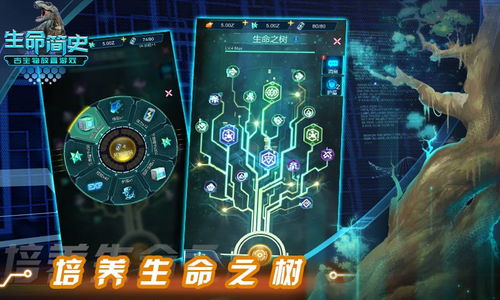 生命life游戏,从简单规则到复杂演化