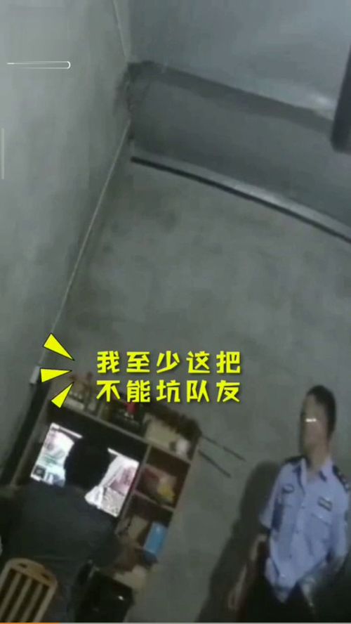 涨洪水游戏,体验城市防洪挑战与智慧