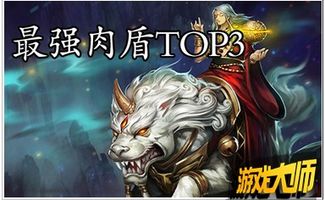游戏肉盾名字,力挽狂澜的坚盾英雄