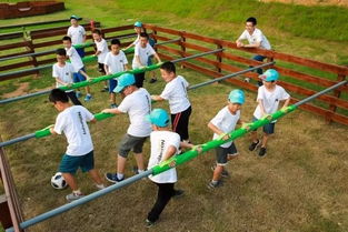 野趣游戏,开启幼儿自然教育新篇章”