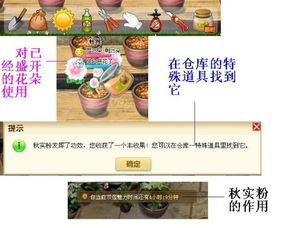 秋实游戏,体验数字彩票的魅力